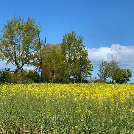 דירה Ostwind - &