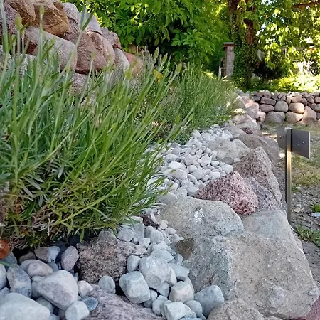 Ostwind - & Steffenshagen