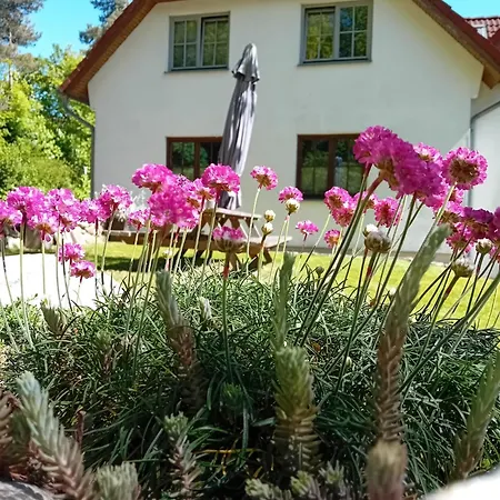 Appartement Ostwind - &