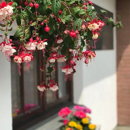 Appartement Ostwind - & Steffenshagen