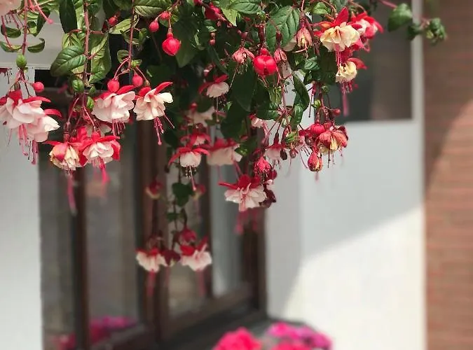 شقة Ostwind - & Steffenshagen